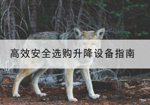 文圣升降货梯厂家推荐-*安全选购升降设备指南