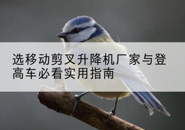 文圣电动升降机厂家-选移动剪叉升降机厂家与登高车必看实用指南