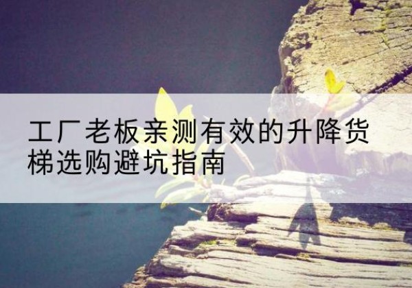 文圣升降货梯怎么选-工厂老板亲测有效的升降货梯选购避坑指南